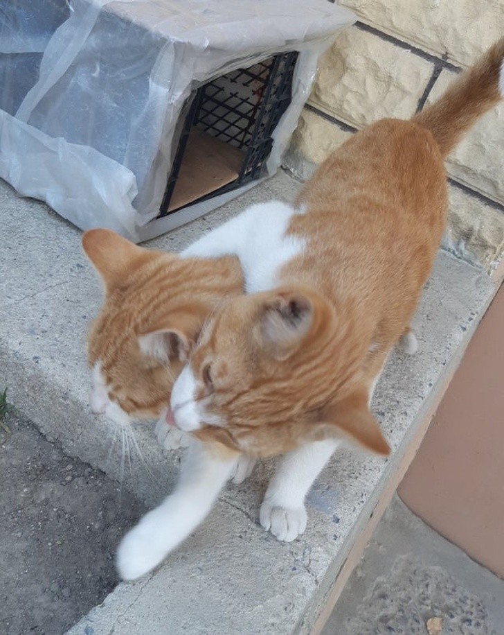 Ảnh: BrightSide Ảnh: BrightSide