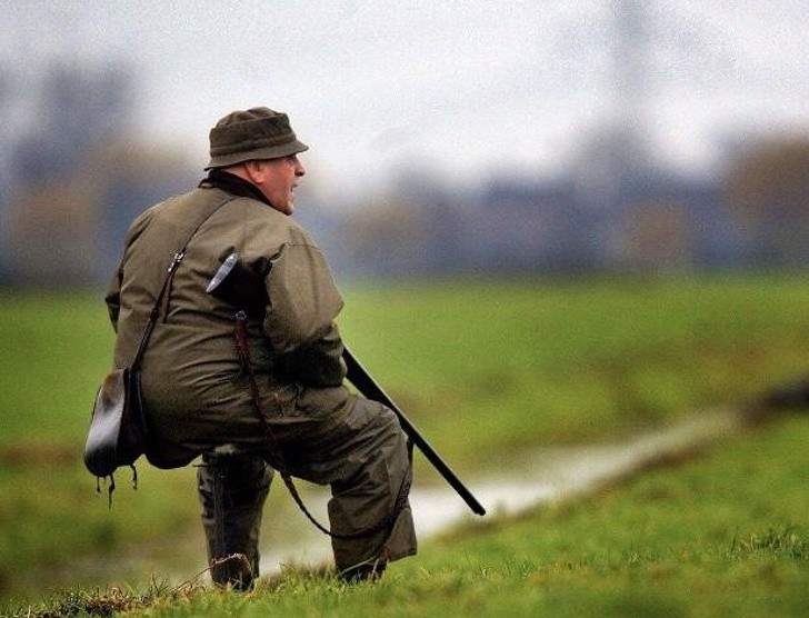 Ảnh: BrightSide Ảnh: BrightSide