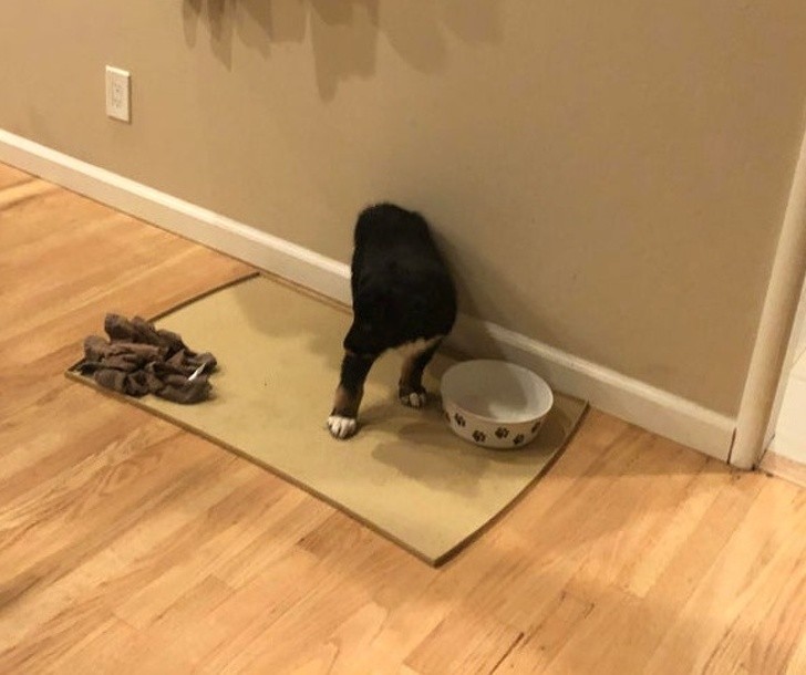 Ảnh: BrightSide Ảnh: BrightSide