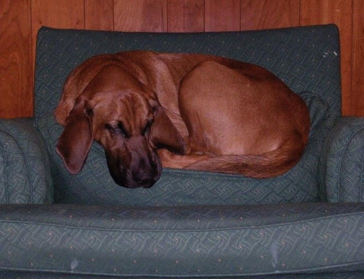 Ảnh: BrightSide Ảnh: BrightSide