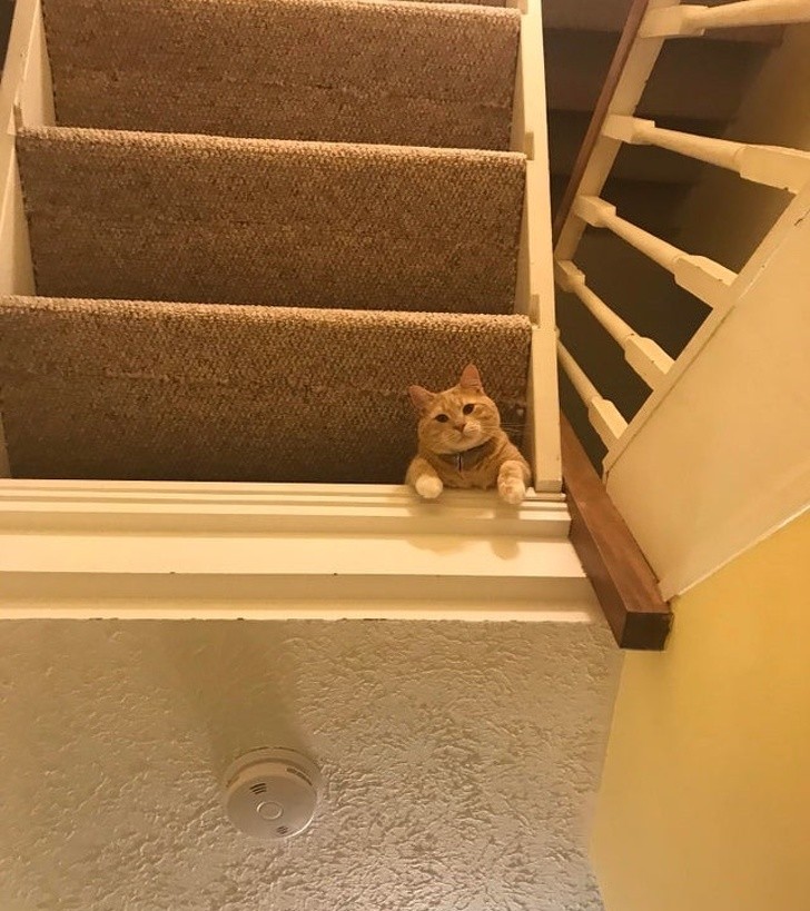 Ảnh: BrightSide Ảnh: BrightSide