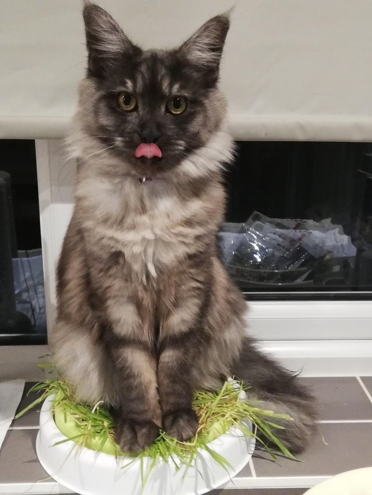 Ảnh: BrightSide Ảnh: BrightSide