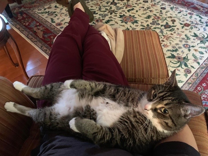 Ảnh: BrightSide Ảnh: BrightSide