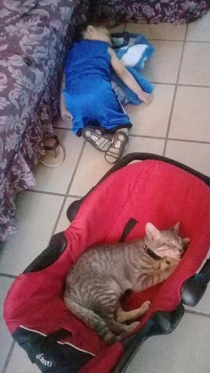 Ảnh: BrightSide Ảnh: BrightSide