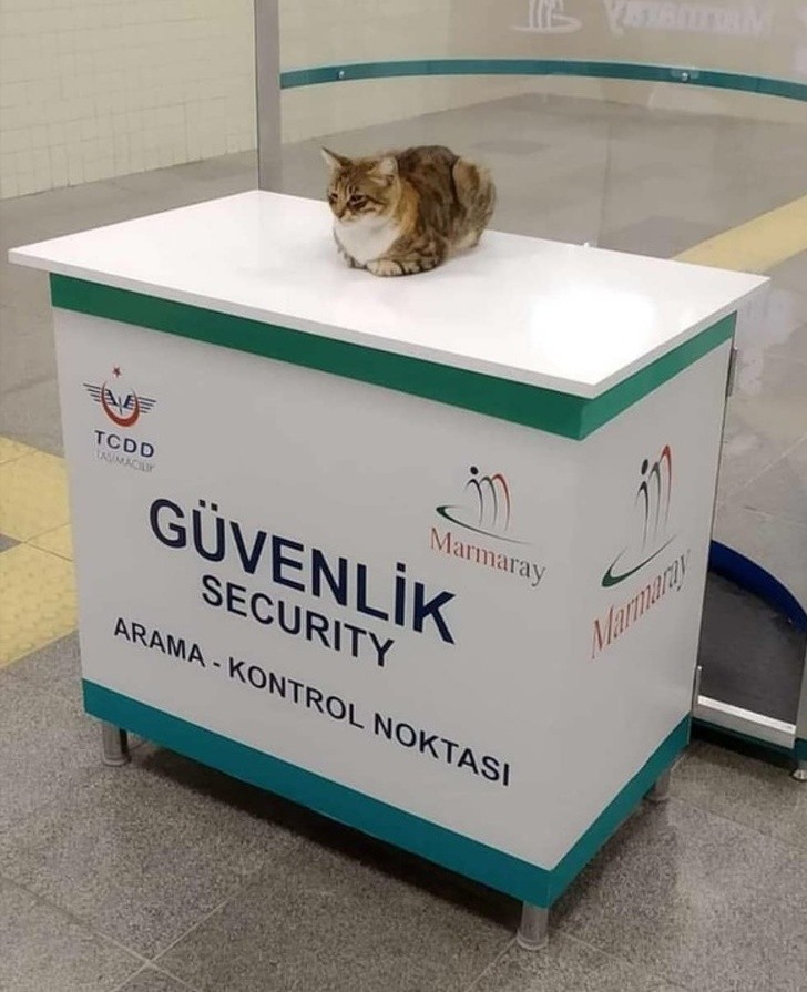 Ảnh: BrightSide Ảnh: BrightSide