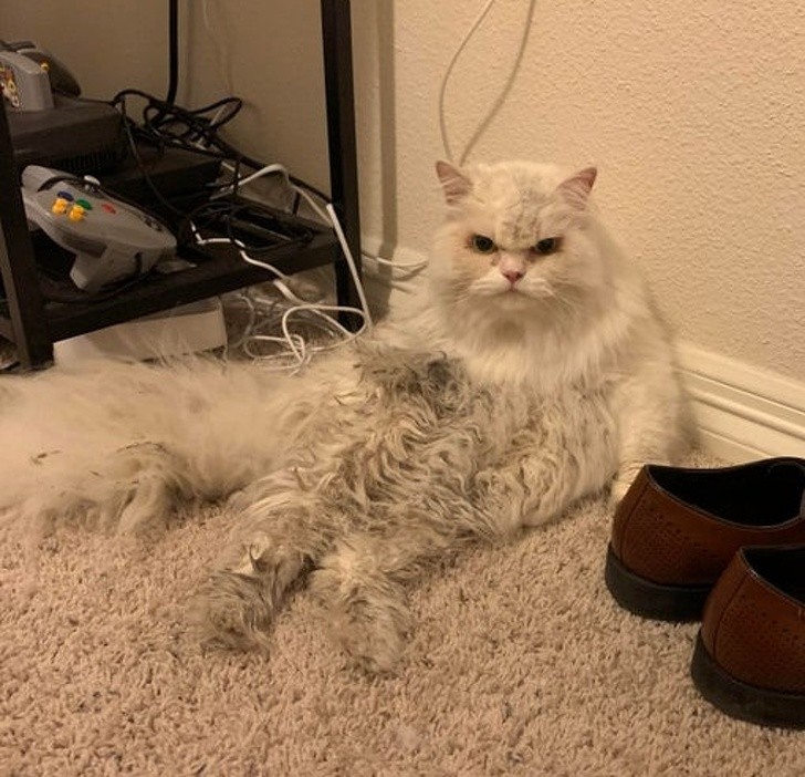 Ảnh: BrightSide Ảnh: BrightSide