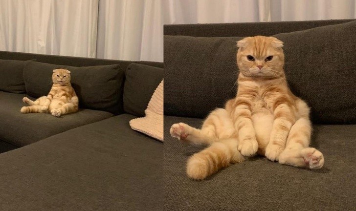 Ảnh: BrightSide Ảnh: BrightSide