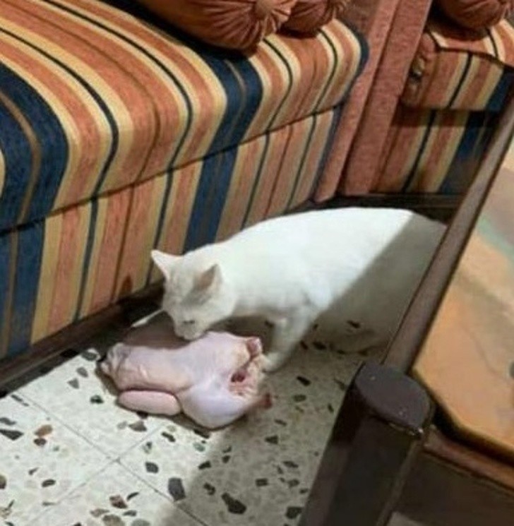 Ảnh: BrightSide Ảnh: BrightSide