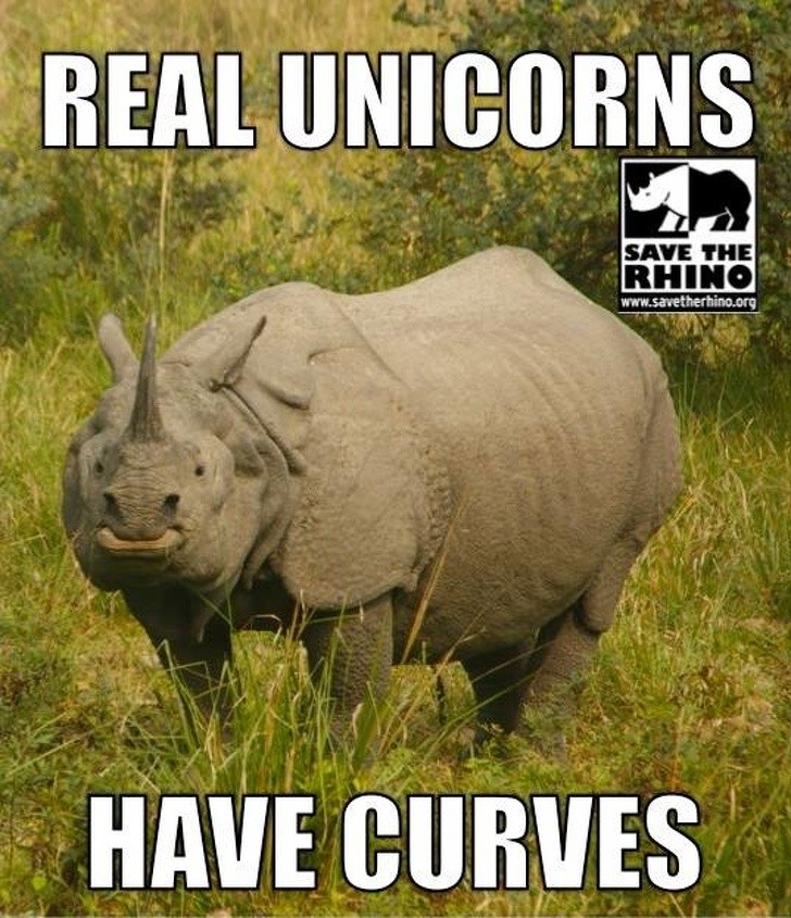 Ảnh: BrightSide Ảnh: BrightSide