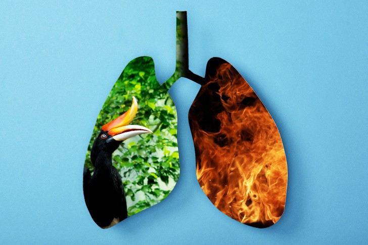 Ảnh: BrightSide Ảnh: BrightSide