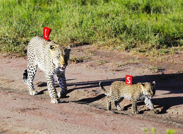 Ảnh: BrightSide Ảnh: BrightSide