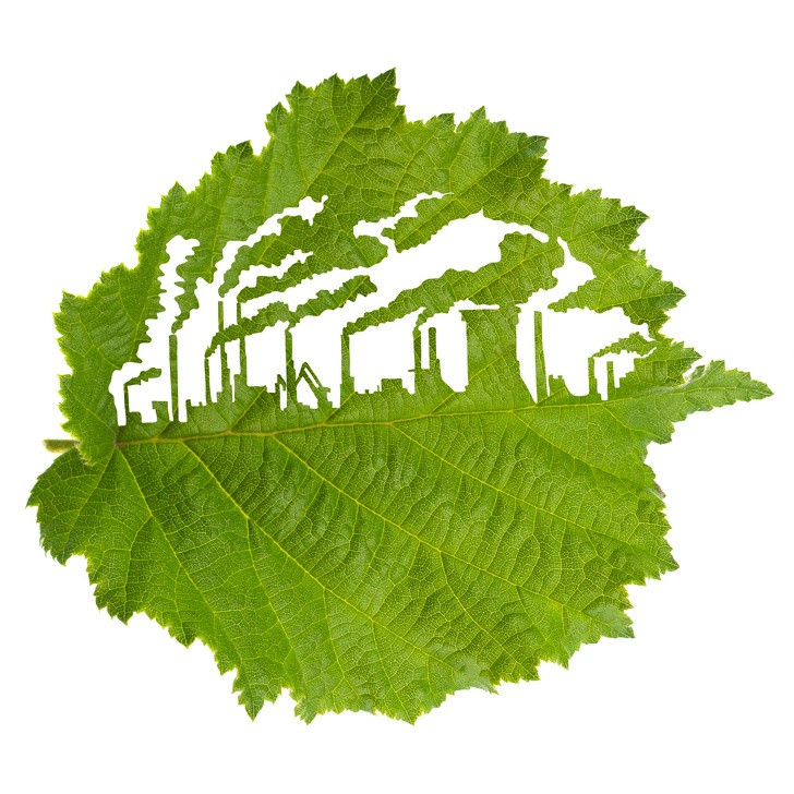 Ảnh: BrightSide Ảnh: BrightSide