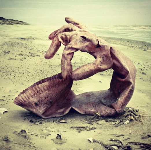 Ảnh: BrightSide Ảnh: BrightSide