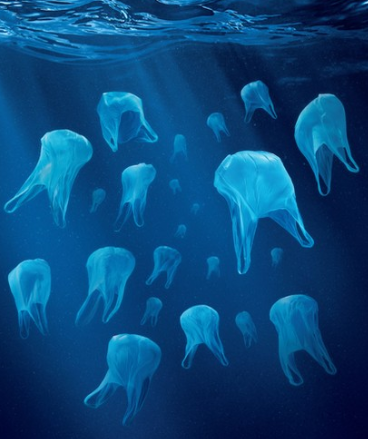 Ảnh: BrightSide Ảnh: BrightSide