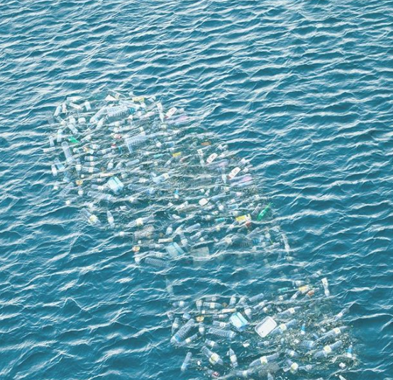 Ảnh: BrightSide Ảnh: BrightSide