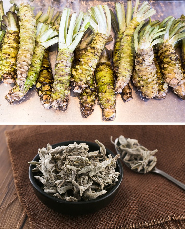 Ảnh: BrightSide Ảnh: BrightSide