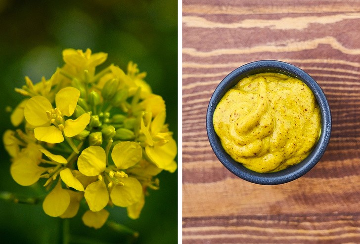 Ảnh: BrightSide Ảnh: BrightSide