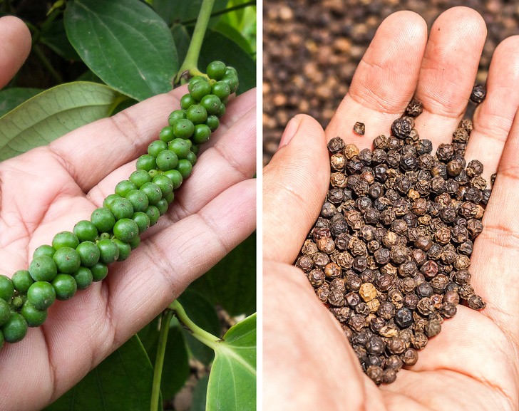 Ảnh: BrightSide Ảnh: BrightSide