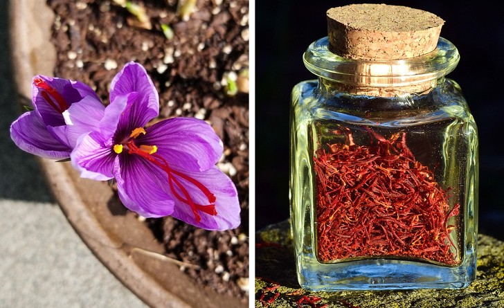 Ảnh: BrightSide Ảnh: BrightSide