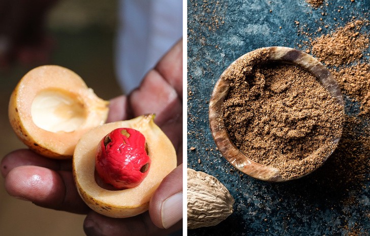 Ảnh: BrightSide Ảnh: BrightSide