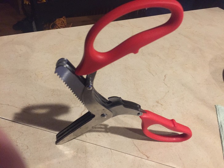 Ảnh: BrightSide Ảnh: BrightSide