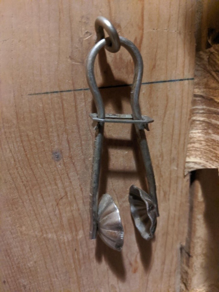 Ảnh: BrightSide Ảnh: BrightSide