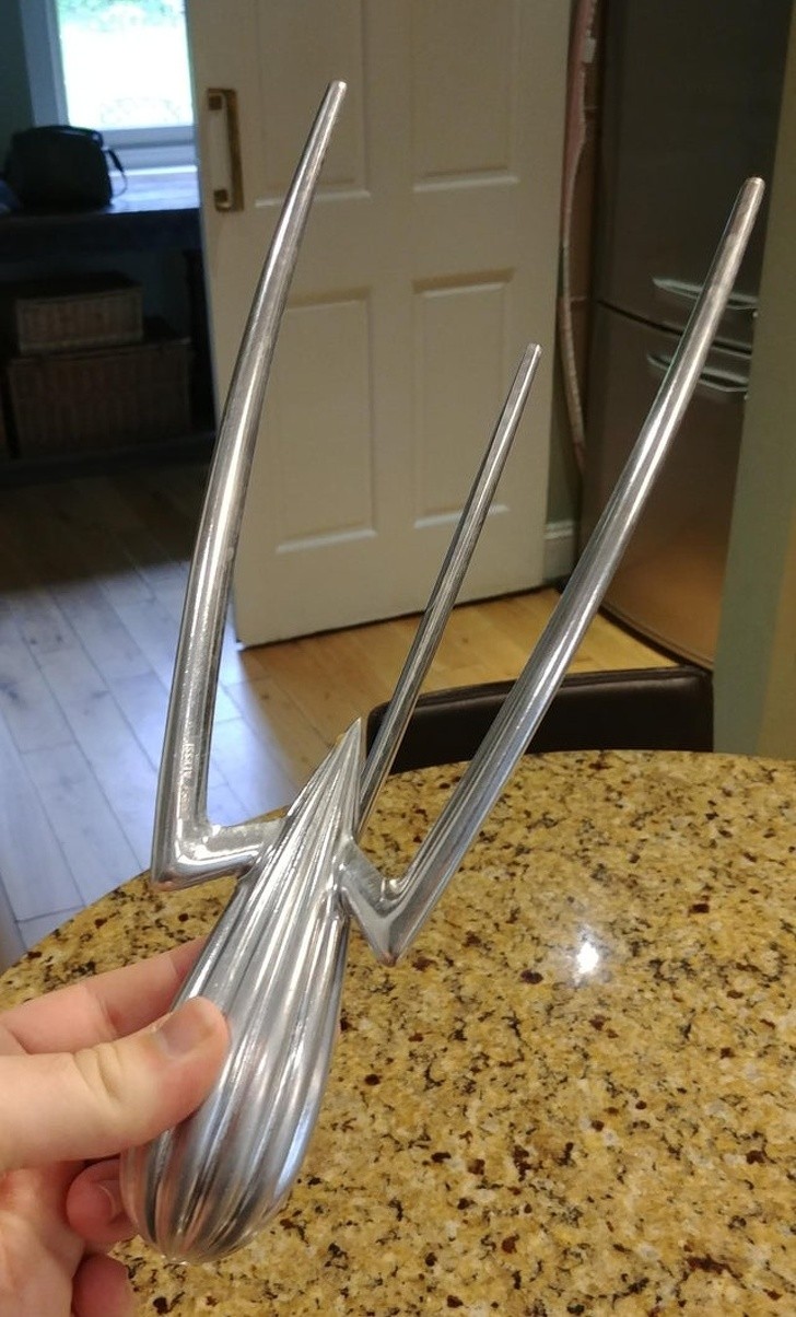 Ảnh: BrightSide Ảnh: BrightSide