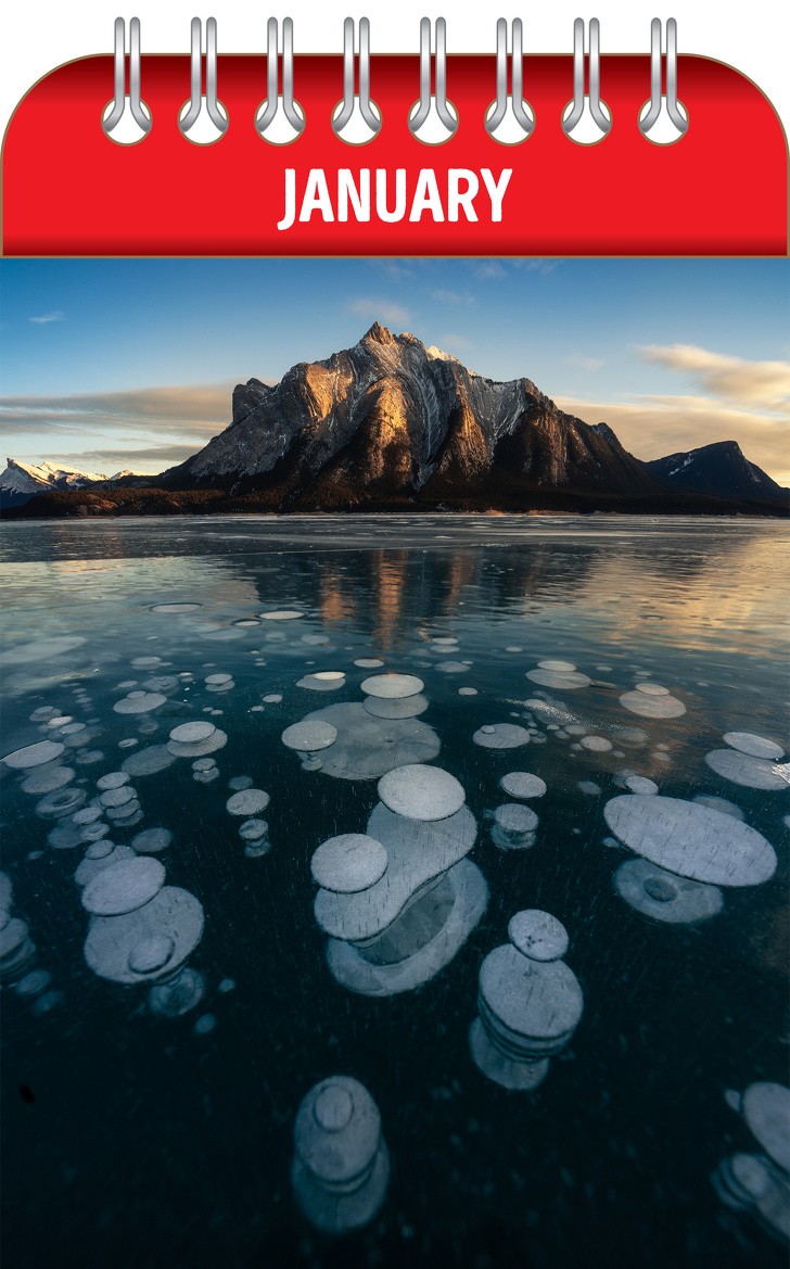 Ảnh: BrightSide Ảnh: BrightSide