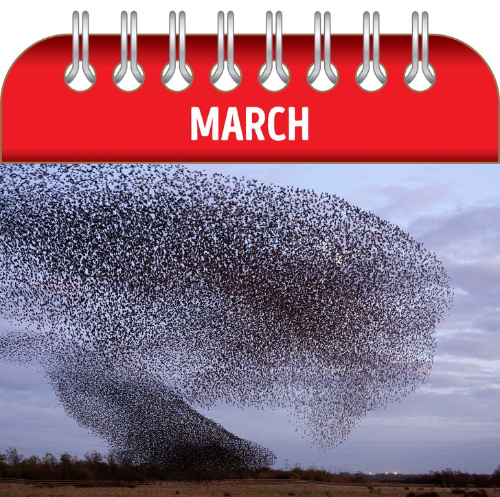 Ảnh: BrightSide Ảnh: BrightSide