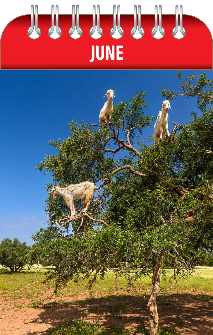 Ảnh: BrightSide Ảnh: BrightSide