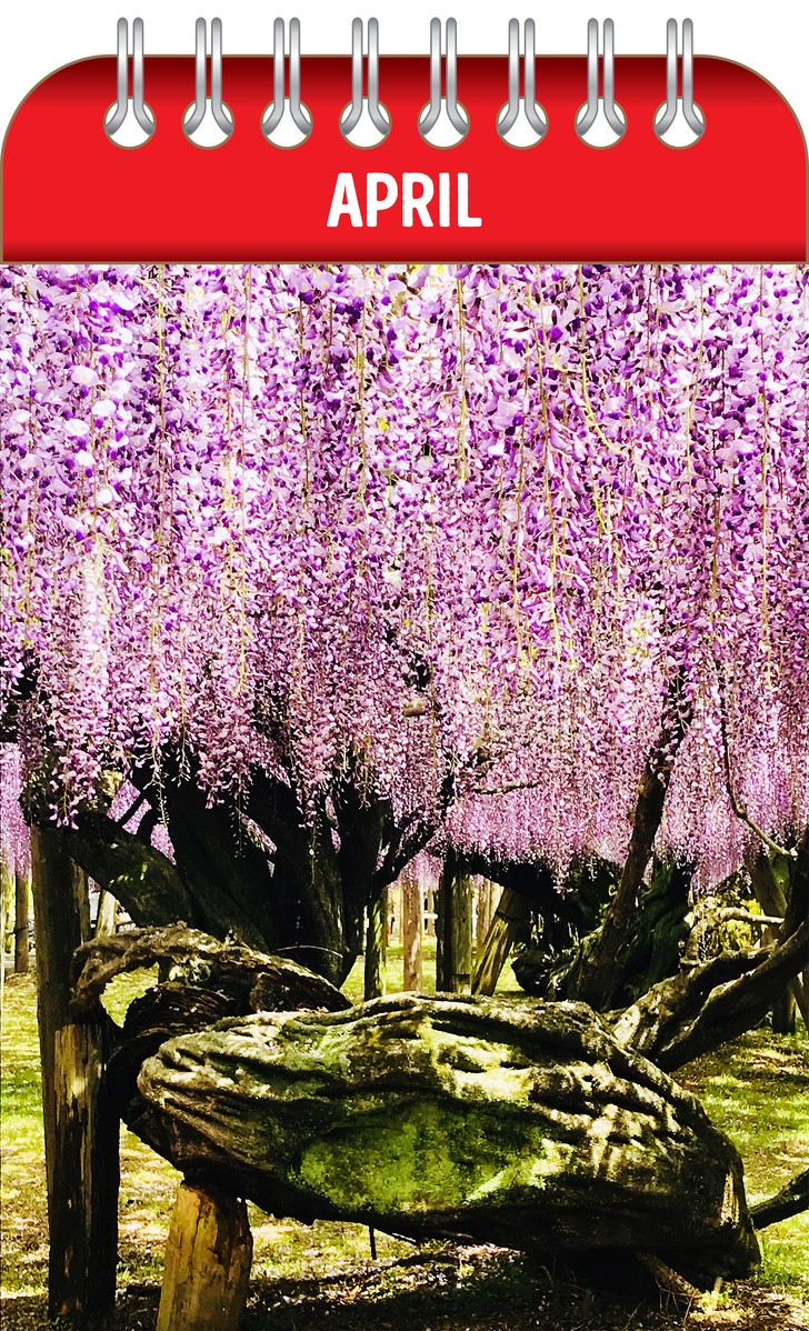 Ảnh: BrightSide Ảnh: BrightSide