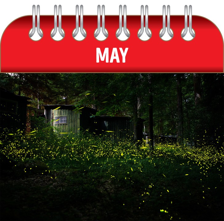 Ảnh: BrightSide Ảnh: BrightSide