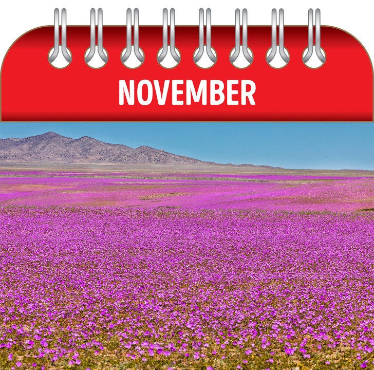 Ảnh: BrightSide Ảnh: BrightSide