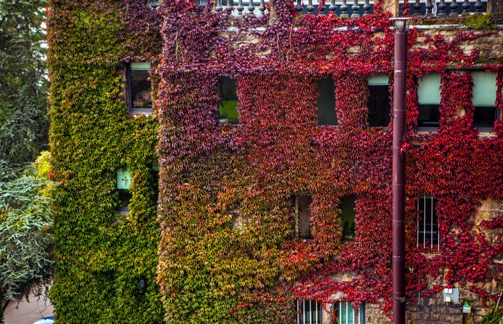 Ảnh: BrightSide Ảnh: BrightSide