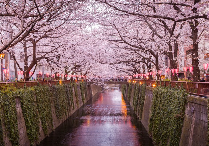 Ảnh: BrightSide Ảnh: BrightSide