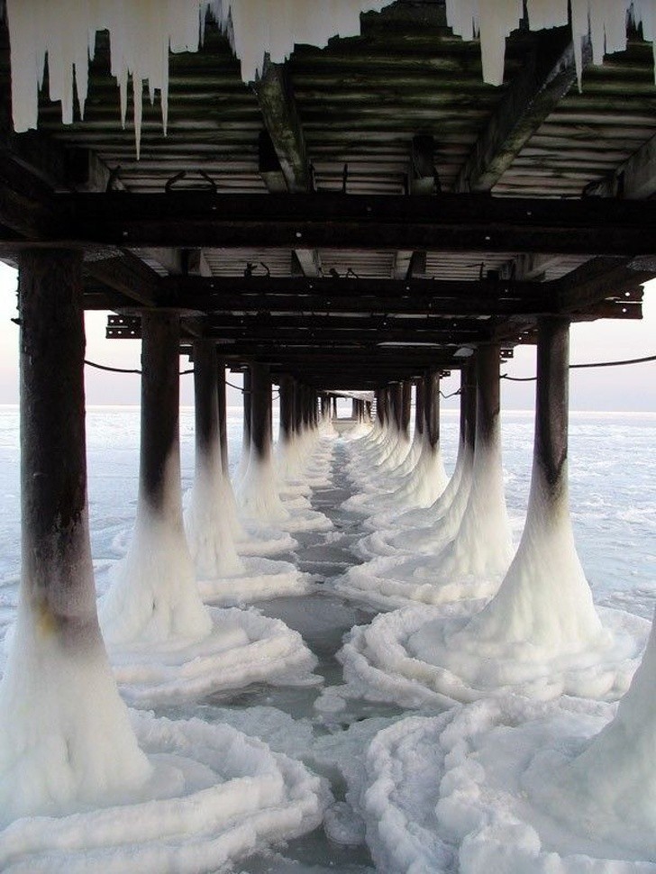 Ảnh: BrightSide Ảnh: BrightSide