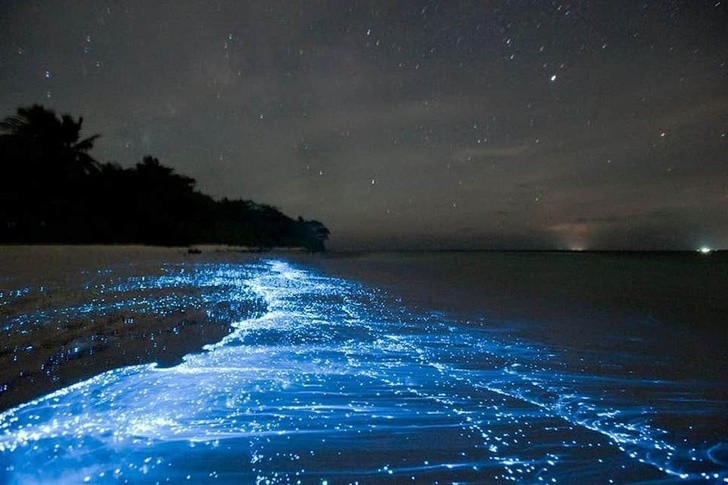 Ảnh: BrightSide Ảnh: BrightSide