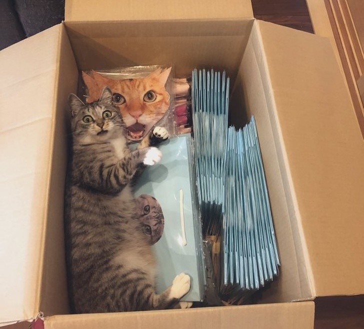 Ảnh: BrightSide Ảnh: BrightSide