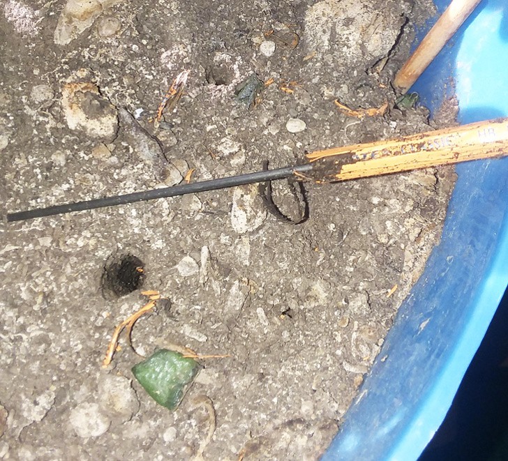 Ảnh: BrightSide Ảnh: BrightSide