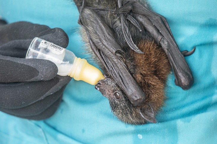 Ảnh: BrightSide Ảnh: BrightSide