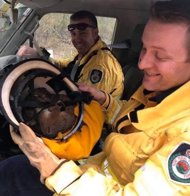 Ảnh: BrightSide Ảnh: BrightSide