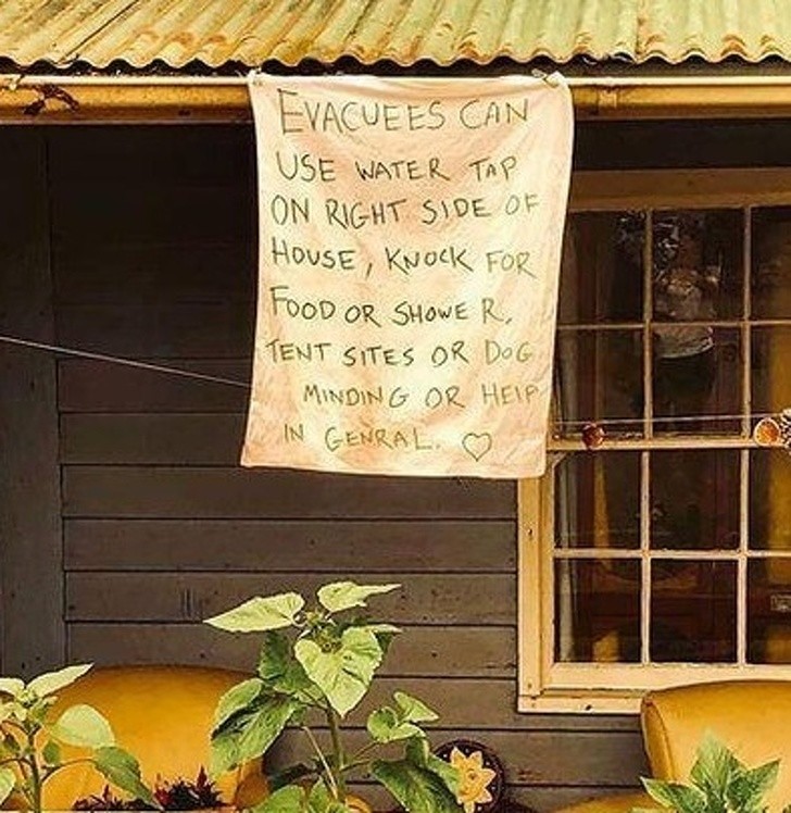 Ảnh: BrightSide Ảnh: BrightSide