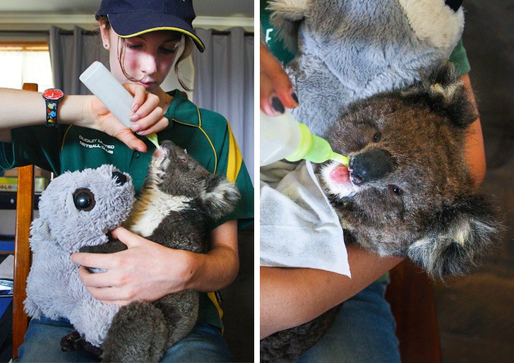 Ảnh: BrightSide Ảnh: BrightSide