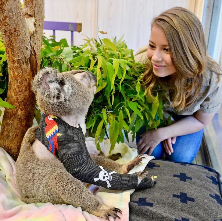 Ảnh: BrightSide Ảnh: BrightSide