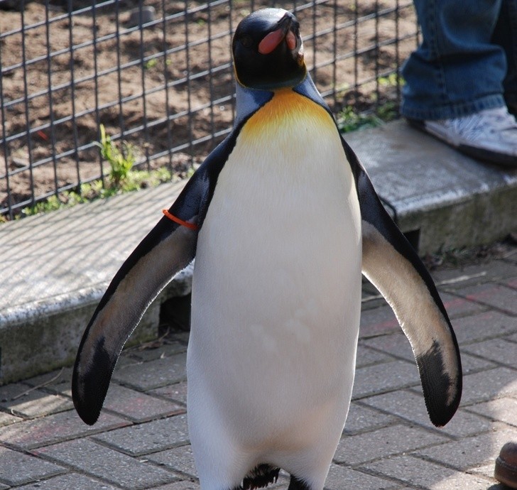 Ảnh: BrightSide Ảnh: BrightSide