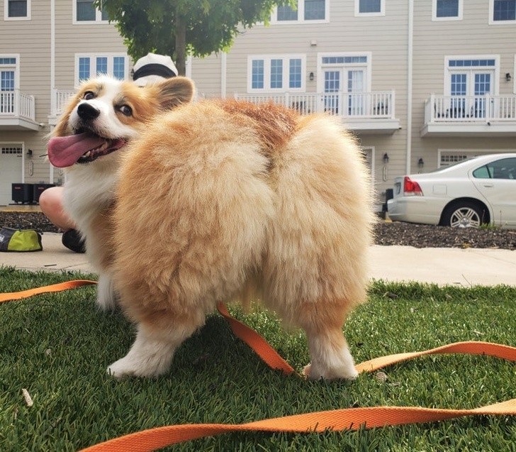 Ảnh: BrightSide Ảnh: BrightSide