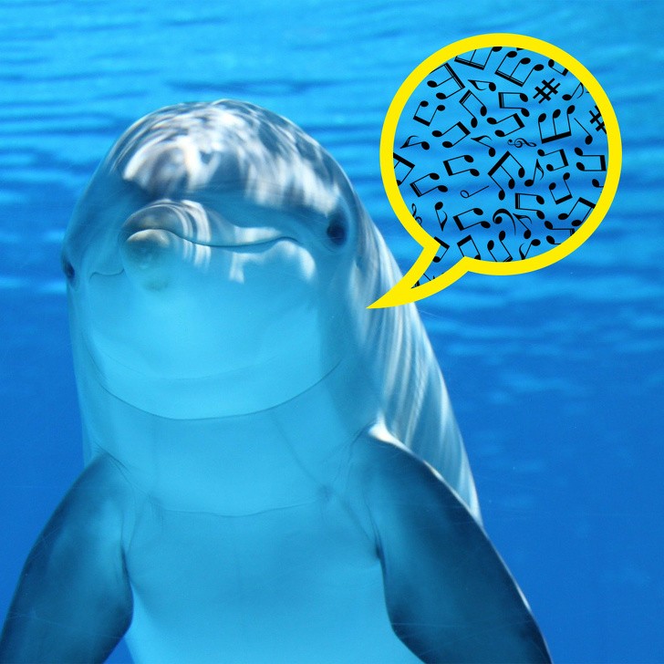 Ảnh: BrightSide Ảnh: BrightSide