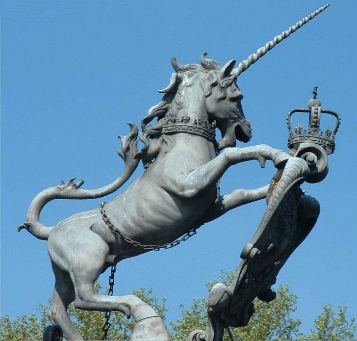 Ảnh: BrightSide Ảnh: BrightSide