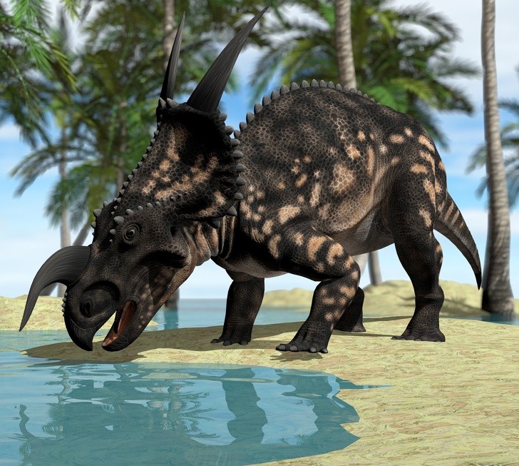 Ảnh: BrightSide Ảnh: BrightSide