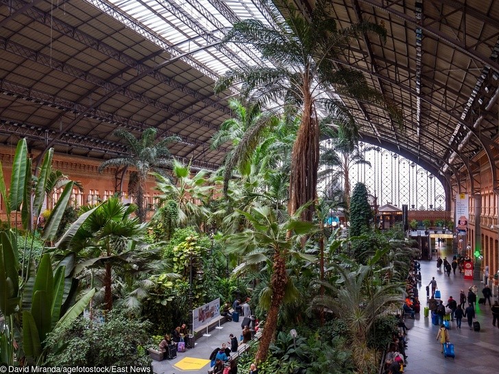 Ảnh: BrightSide Ảnh: BrightSide